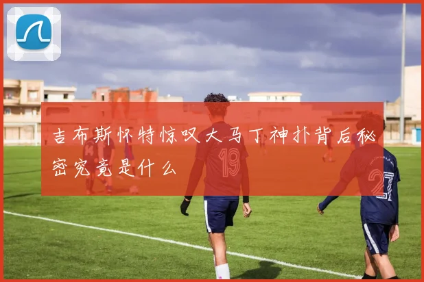 吉布斯怀特惊叹大马丁神扑背后秘密究竟是什么