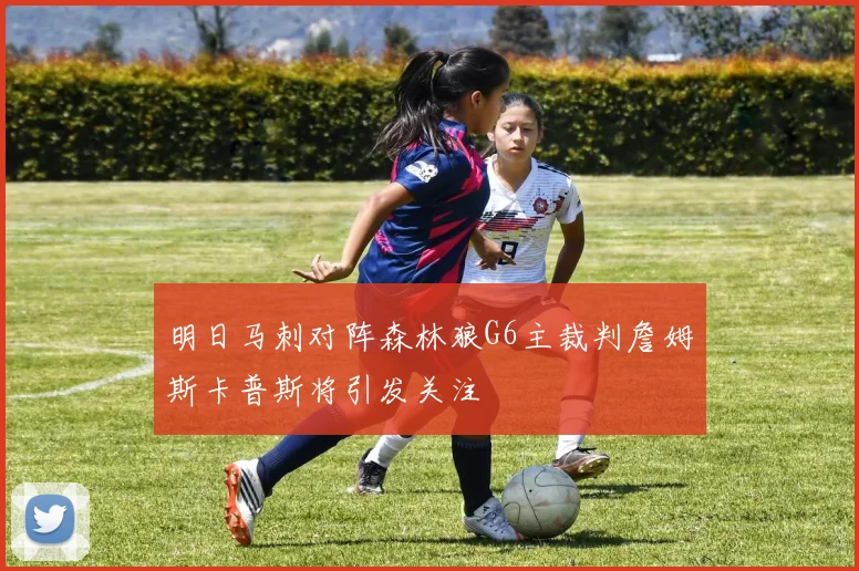 明日马刺对阵森林狼G6主裁判詹姆斯卡普斯将引发关注
